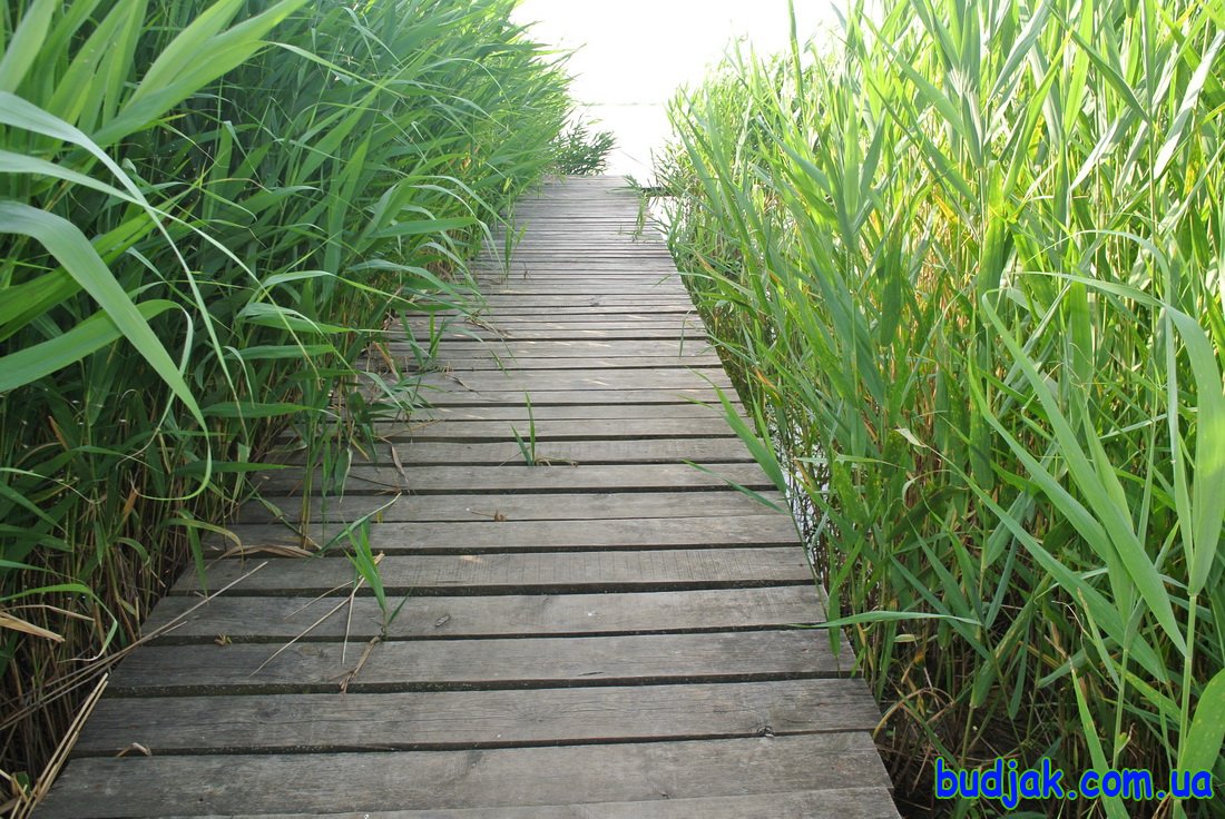 База отдыха Плай - новый корпус курорт Рассейка фото  6360 2016 год